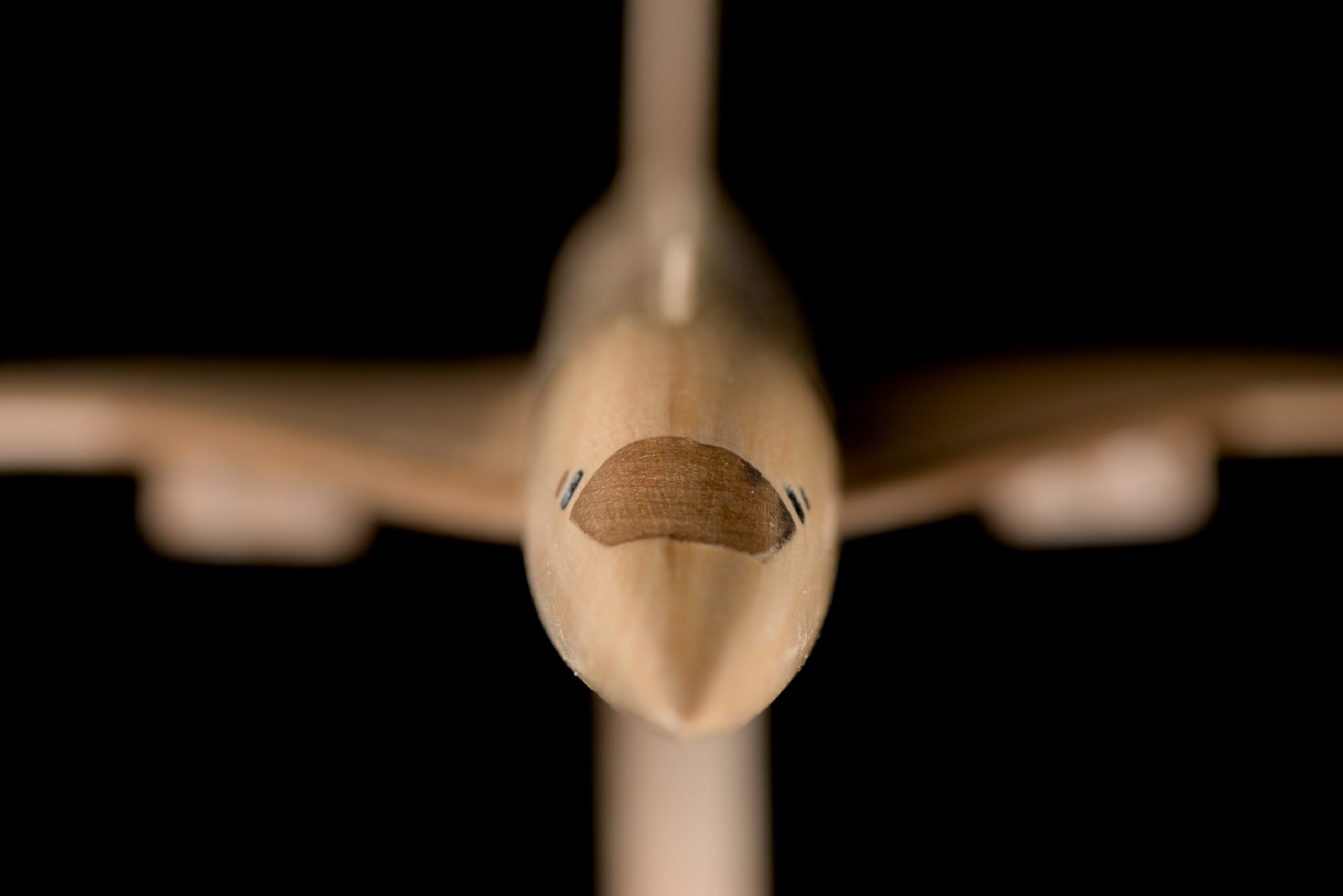 Avion civil supersonique – Image 2